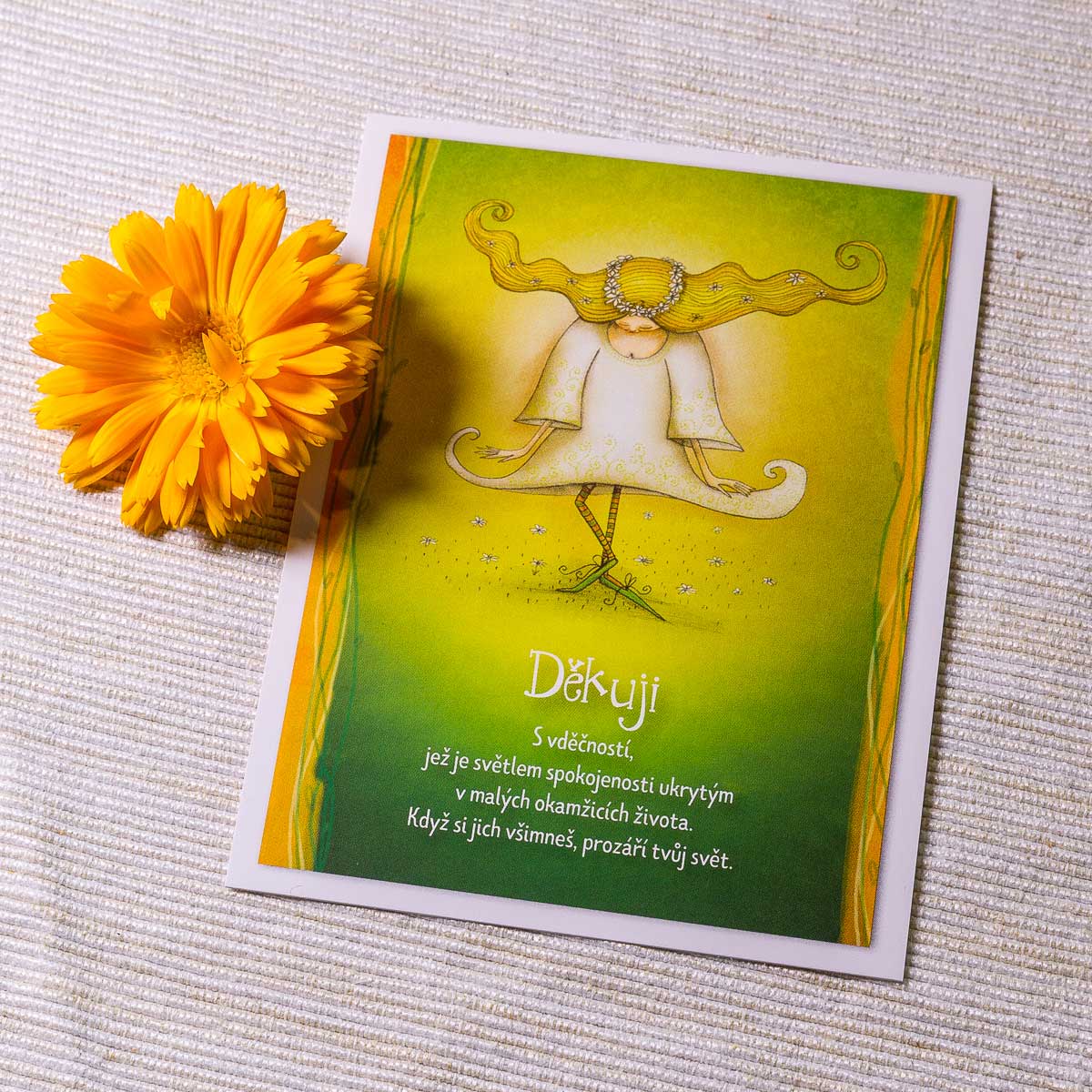 Komplimentka zelená