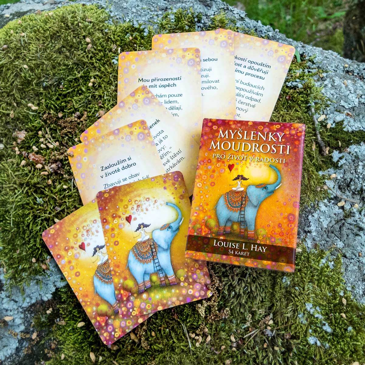 Myšlenky moudrosti - Obrázek 2